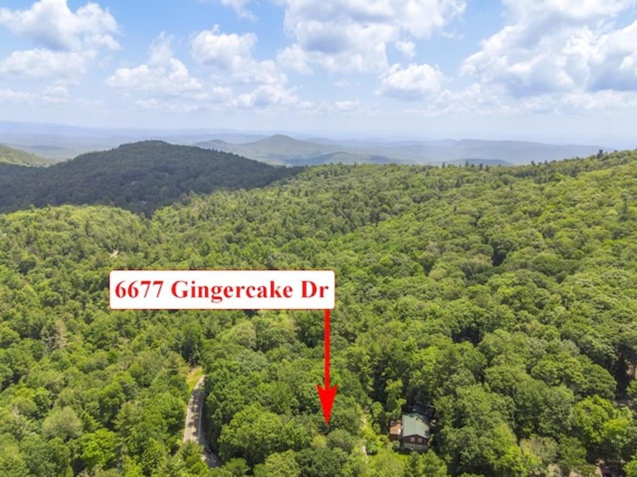 Gingercake Mtn Cottage At Linville Gorge - Wood Burning Fireplace Linville Falls Exterior foto